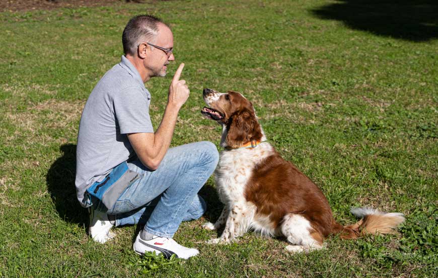 about-mark dog trainer Mark Ehrman asking dog to sit