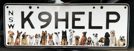 K9HELP car registration licence plate